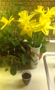 This picture is mostly just to show you that I have flowers and only a little to show you that I drank the juice...