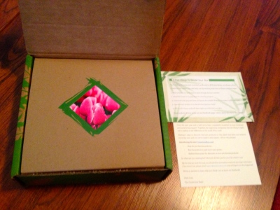 A box within a box! (both recyclable!) Loved the pretty rose in-set. 